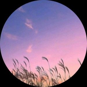 Meet your Posher, Numa